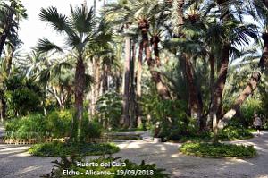 19 ELCHE HUERTO DEL CURA (30)